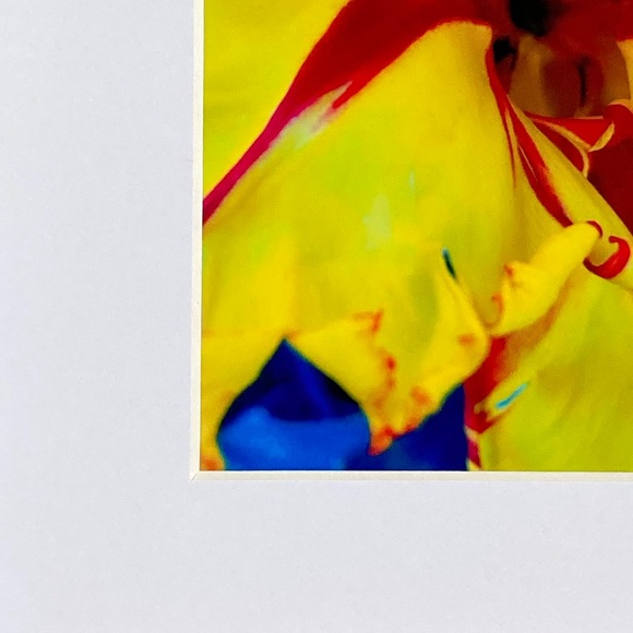 “JAUNE” ~ ORIGINAL ART by ~ @lisamichellebeckerphotography - Picture 4 of 12